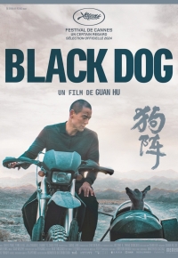 Black Dog  2025