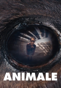 Animale  2024